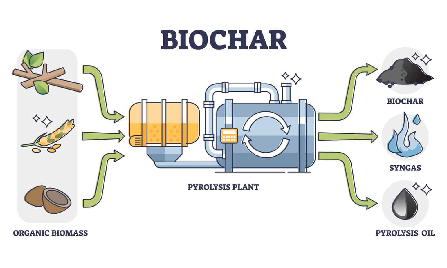 Biochar pyrolysis process: organic biomass into biochar, syngas and pyrolysis oil